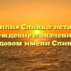 Фамилия Слинко: история, происхождение и значение — все о родовом имени Слинко