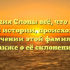 Фамилия Слонь: всё, что нужно знать об истории, происхождении и значении этой фамилии, а также о её склонении