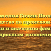 Фамилия Созин: Полное руководство по происхождению, истории и значению фамилии с подробным склонением