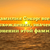 Фамилия Сокор: все о происхождении, значении и склонении этой фамилии