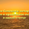 Фамилия Солохина: историческое значение и правильное склонение в одной статье