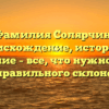 Фамилия Солярчин: происхождение, история и значение – все, что нужно знать для правильного склонения!