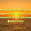 Фамилия Сонер: все, что нужно знать о происхождении, истории и склонении этой уникальной фамилии