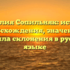 Фамилия Сопильняк: история происхождения, значение и правила склонения в русском языке
