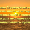 Фамилия Сорокоумов: все, что нужно знать об истории, происхождении и склонении фамилии для исследования своего родословного древа
