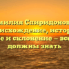 Фамилия Спиридонович: происхождение, история, значение и склонение — все, что вы должны знать
