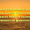 Фамилия Стаганович: история, происхождение и значение – все, что нужно знать о склонении именитой фамилии