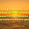 Фамилия Стаммель: история происхождения, значения и особенности склонения этого достопочтенного рода