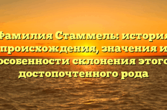 Фамилия Стаммель: история происхождения, значения и особенности склонения этого достопочтенного рода