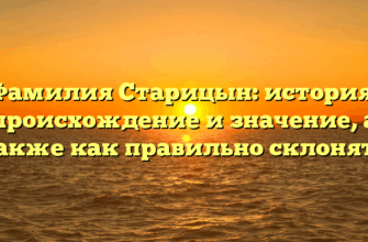 Фамилия Старицын: история, происхождение и значение, а также как правильно склонять