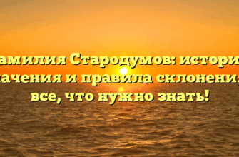 Фамилия Стародумов: история, значения и правила склонения – все, что нужно знать!