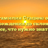 Фамилия Стацюк: от происхождения до склонения — все, что нужно знать