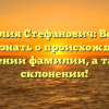 Фамилия Стефанович: Все, что нужно знать о происхождении и значении фамилии, а также склонении!