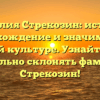 Фамилия Стрекозин: история, происхождение и значимость в нашей культуре. Узнайте, как правильно склонять фамилию Стрекозин!