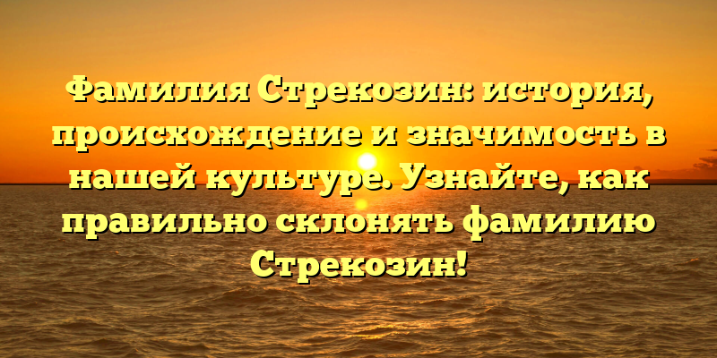 Фамилия Стрекозин: история, происхождение и значимость в нашей культуре. Узнайте, как правильно склонять фамилию Стрекозин!
