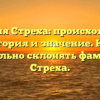 Фамилия Стреха: происхождение, история и значение. Как правильно склонять фамилию Стреха.