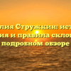 Фамилия Стружкин: история, значения и правила склонения в подробном обзоре