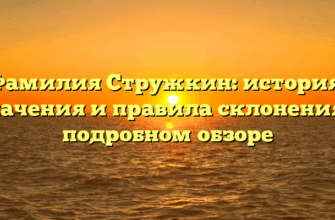 Фамилия Стружкин: история, значения и правила склонения в подробном обзоре