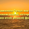 Фамилия Сульг: все о происхождении, истории и значении этой редкой фамилии