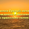 Фамилия Сундуй: история, происхождение и значения, плюс как правильно склонять