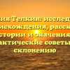 Фамилия Телкин: исследование происхождения, рассказ о истории и значениях, практические советы по склонению