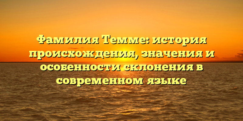 Фамилия Темме: история происхождения, значения и особенности склонения в современном языке