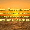 Фамилия Товстуха: история, происхождение и склонение в единственном множестве — узнайте все в нашей статье!