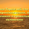 Фамилия Тория: всё, что нужно знать о происхождении, истории, значении и правильном склонении