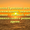 Фамилия Трандин: история, происхождение, значение и склонение — полный гайд для исследования своего родословного древа