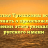 Фамилия Тришкина: все, что нужно знать о происхождении и склонении этого уникального русского имени