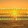 Фамилия Туев: все о происхождении, истории, значении и правильном склонении фамилии