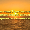 Фамилия Тумс: история происхождения, значение и варианты склонения.