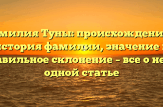 Фамилия Туны: происхождение и история фамилии, значение и правильное склонение – все о ней в одной статье