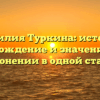 Фамилия Туркина: история, происхождение и значение, все о склонении в одной статье