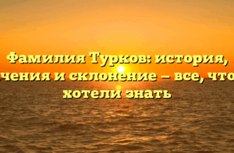 Фамилия Турков: история, значения и склонение — все, что вы хотели знать