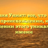 Фамилия Уният: все, что нужно знать о происхождении, истории и значении этого уникального имени