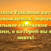 Фамилия Ушкалов: история происхождения, значение и правильное склонение — все о фамилии, о которой вы хотели знать!
