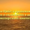 Фамилия Цайг: о происхождении, значении и склонении в деталях — экспертный анализ