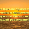 Фамилия Цветок: происхождение, значение и склонение на французском языке – история вашей родословной