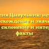 Фамилия Цыбульник: история, происхождение и значение, полное склонение и интересные факты