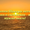 Фамилия Шандра: история, значения и склонение – все, что нужно знать!