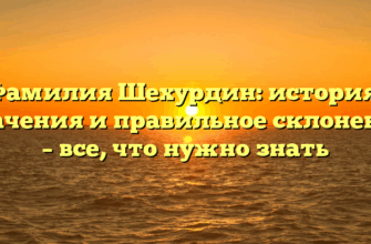 Фамилия Шехурдин: история, значения и правильное склонение – все, что нужно знать