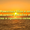Фамилия Шоя и ее происхождение: узнайте историю, значение и правила склонения.