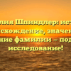 Фамилия Шпиндлер: история, происхождение, значение и склонение фамилии — подробное исследование!