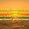 Фамилия Штеркель: история происхождения, значение и правильное склонение для семейной родословной