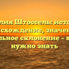 Фамилия Штоссель: история и происхождение, значение и правильное склонение – все, что нужно знать
