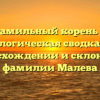 Фамильный корень и генеалогическая сводка: все о происхождении и склонении фамилии Малева