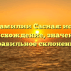 Все о фамилии Сасная: история, происхождение, значение и правильное склонение