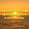 Все, что нужно знать о фамилии Блейхер: происхождение, история и склонение.