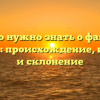 Все, что нужно знать о фамилии Гонтова: происхождение, история и склонение